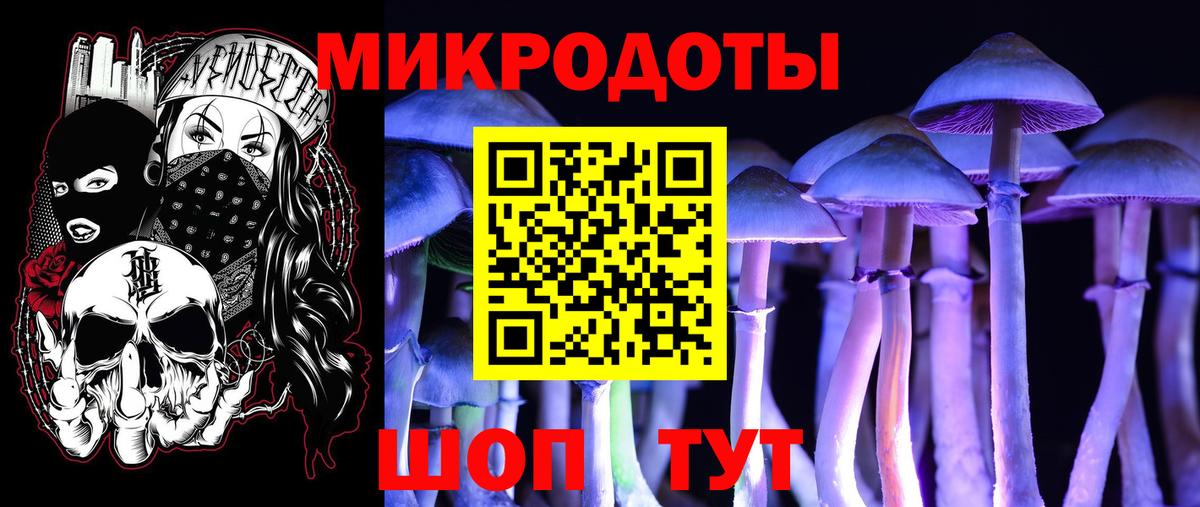Псилоцибиновые грибы Cubensis  Вход с VPN  Лиски 